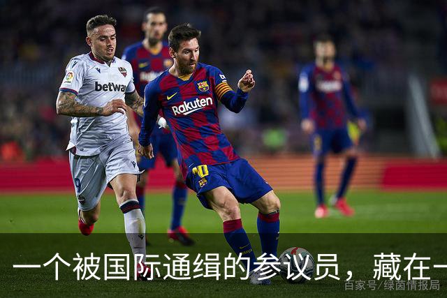 一个被国际通缉的参议员，藏在一个政府不敢去抓的地方
