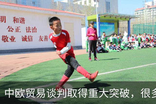 中欧贸易谈判取得重大突破，很多人不理解中国为何主动让步？