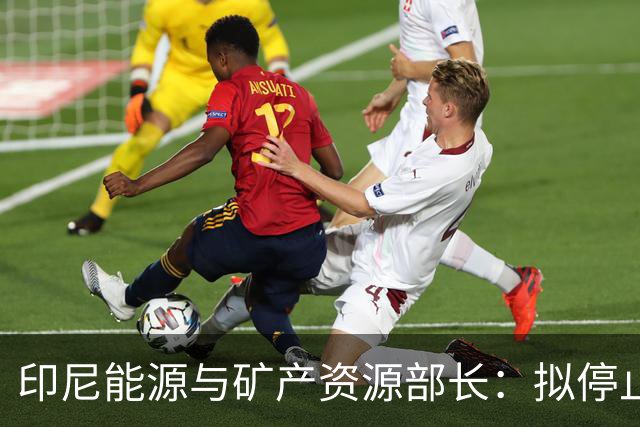 印尼能源与矿产资源部长：拟停止向不尊重印尼的国家供能