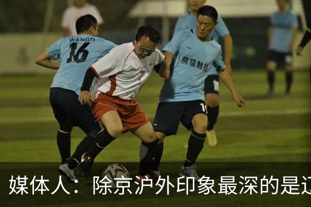 媒体人：除京沪外印象最深的是辽宁 乌戈把这支队伍捏合的很不错