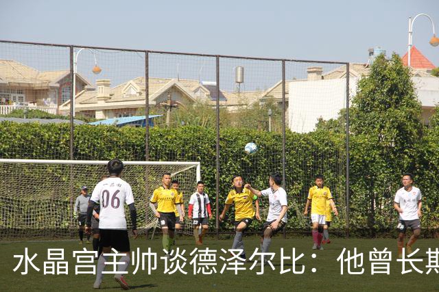 水晶宫主帅谈德泽尔比：他曾长期是我的榜样 向他学习过如何踢球