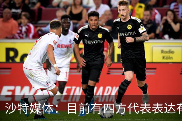 沙特媒体：目前有四方代表表达有意参与利雅得胜利收购的兴趣