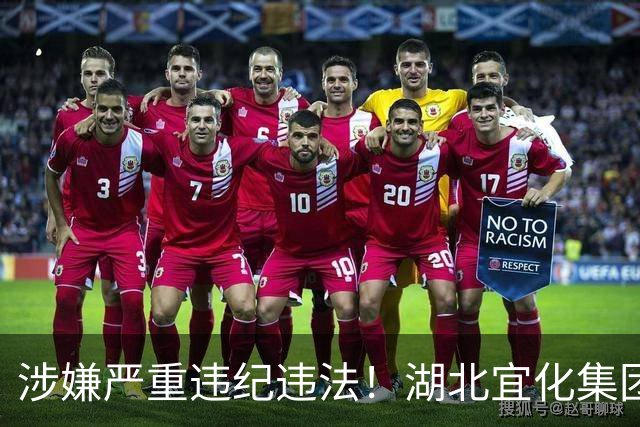 涉嫌严重违纪违法！湖北宜化集团原副总经理被查