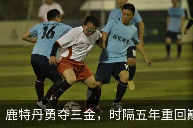 鹿特丹勇夺三金，时隔五年重回巅峰，中国体操73载逐梦，165个冠军荣耀，88位世界冠军全记录